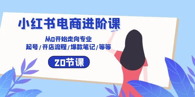 小红书电商进阶课：从0开始走向专业 起号/开店流程/爆款笔记/等等(20节-搞钱日记