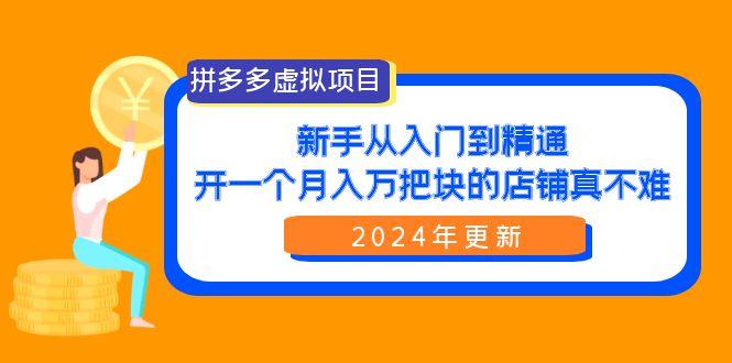 (9744期)拼多多虚拟项目：入门到精通，开一个月入万把块的店铺 真不难(24年更新)-搞钱日记