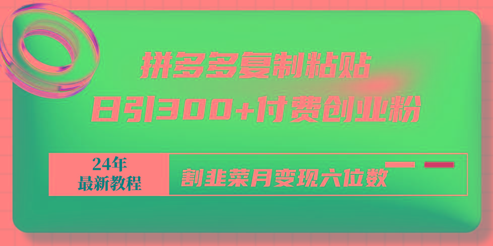 拼多多复制粘贴日引300+付费创业粉，割韭菜月变现六位数最新教程！-搞钱日记