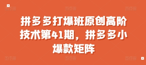 拼多多打爆班原创高阶技术第41期，拼多多小爆款矩阵-搞钱日记