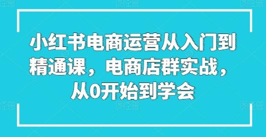 小红书电商运营从入门到精通课，电商店群实战，从0开始到学会-搞钱日记