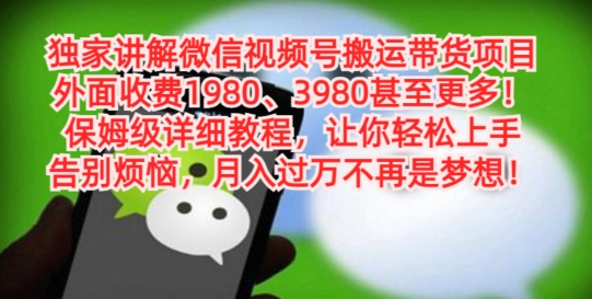 独家讲解微信视频号搬运带货项目，保姆级详细教程-搞钱日记