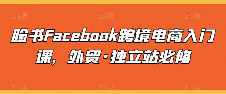 脸书Facebook跨境电商入门课，外贸·独立站必修-搞钱日记