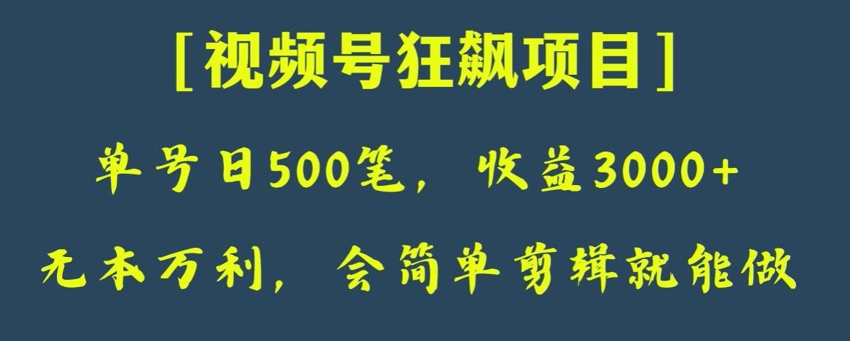 日收款500笔，纯利润3000+，视频号狂飙项目，会简单剪辑就能做【揭秘】-搞钱日记