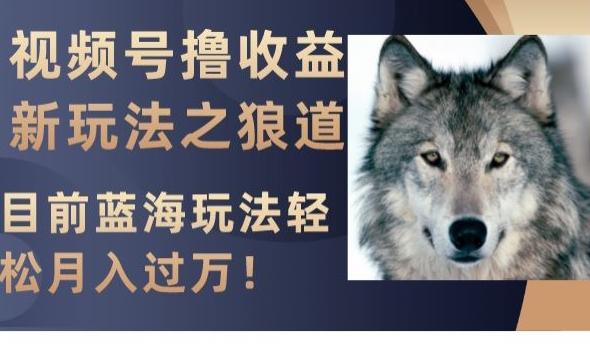 视频号撸收益新玩法之狼道，目前蓝海玩法，轻松月入过万【揭秘】-搞钱日记