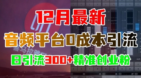 12月最新：音频平台0成本引流，日引流300+精准创业粉-搞钱日记