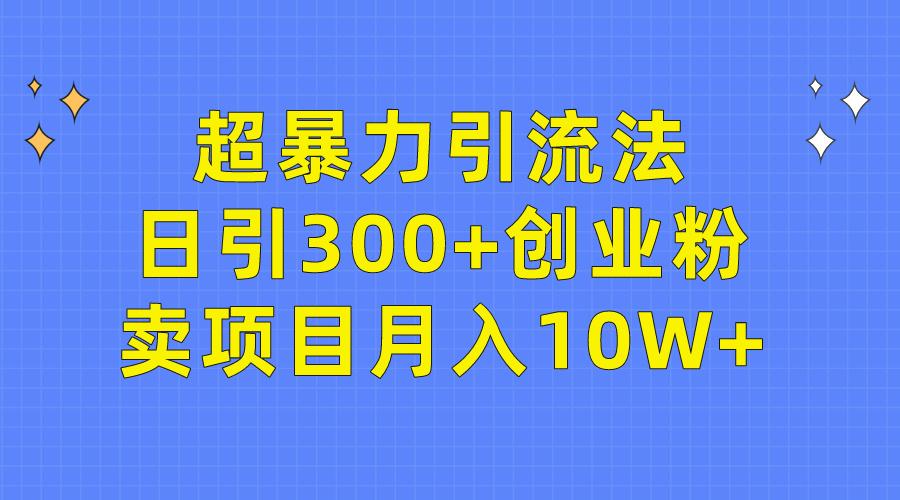 (9954期)超暴力引流法，日引300+创业粉，卖项目月入10W+-搞钱日记