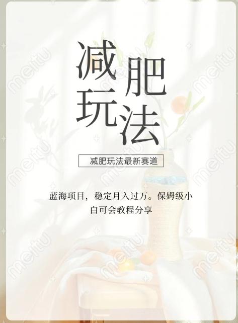 减肥流量主新玩法，轻松月入1W，可矩阵操作收入翻倍-搞钱日记