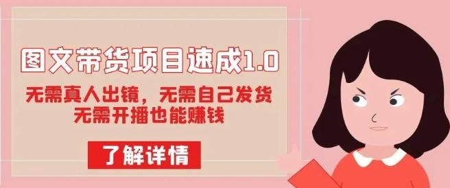 图文带货项目速成1.0：无需真人出镜，无需自己发货，无需开播也能赚钱！-搞钱日记