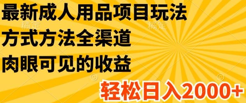 最新成人用品项目玩法，方式方法全渠道，轻松日入2K+【揭秘】-搞钱日记