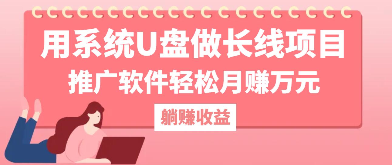 用系统U盘做长线项目，推广软件轻松月赚万元-搞钱日记