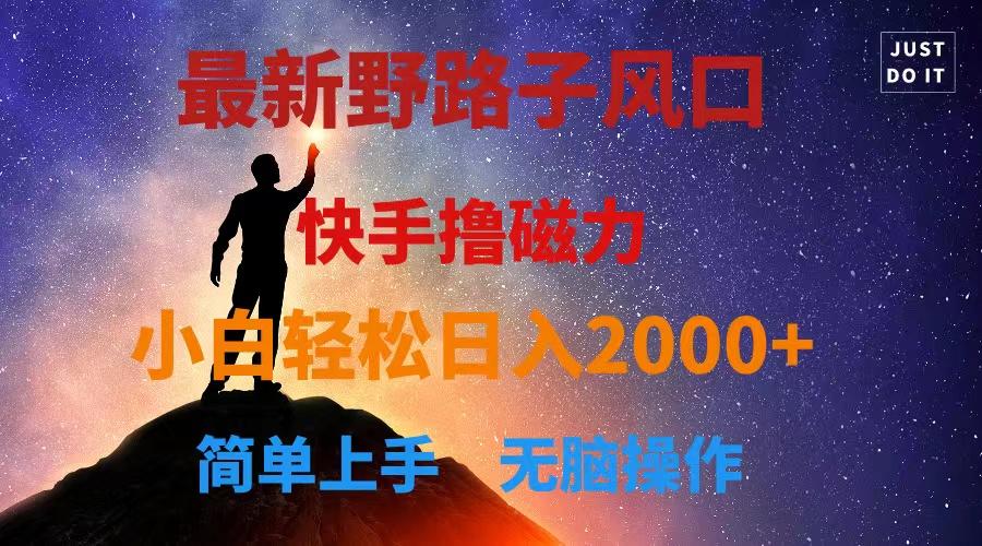 最新风口！快手撸磁力，野路子，小白无脑操作日入2000+-搞钱日记