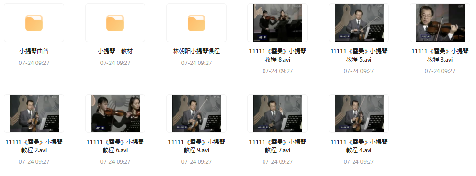 霍曼小提琴教学视频-搞钱日记