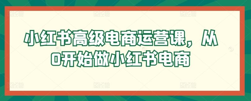 小红书高级电商运营课，从0开始做小红书电商-搞钱日记