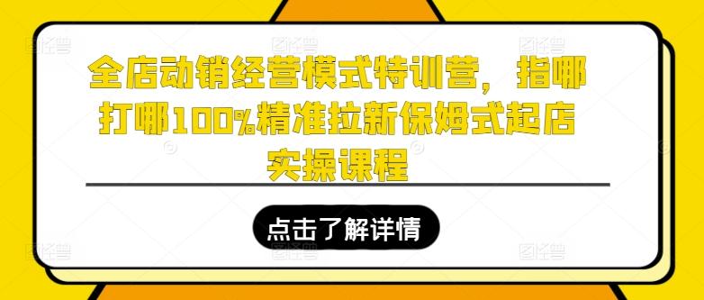 全店动销经营模式特训营，指哪打哪100%精准拉新保姆式起店实操课程-搞钱日记