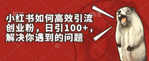 小红书如何高效引流创业粉，日引100+，解决你遇到的问题【揭秘】-搞钱日记