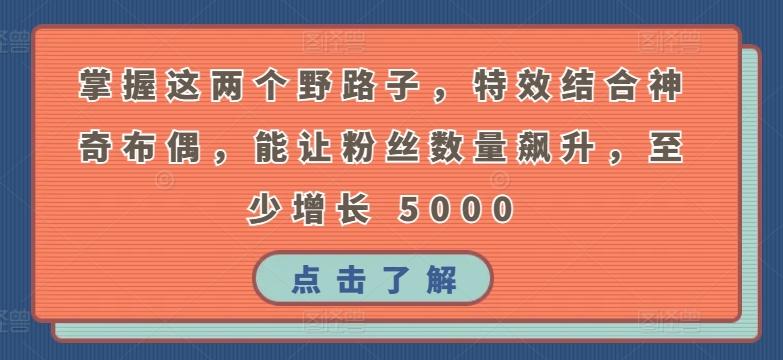 掌握这两个野路子，特效结合神奇布偶，能让粉丝数量飙升，至少增长 5000【揭秘】-搞钱日记