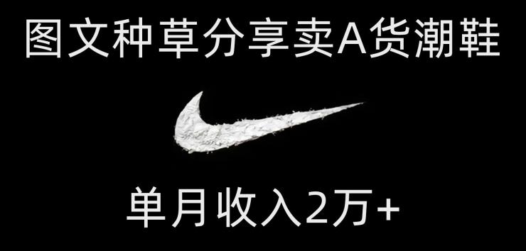 靠图文种草分享卖A货潮鞋，每天一小时，单月收入2万+【揭秘】-搞钱日记