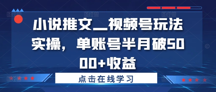 小说推文—视频号玩法实操，单账号半月破5000+收益-搞钱日记