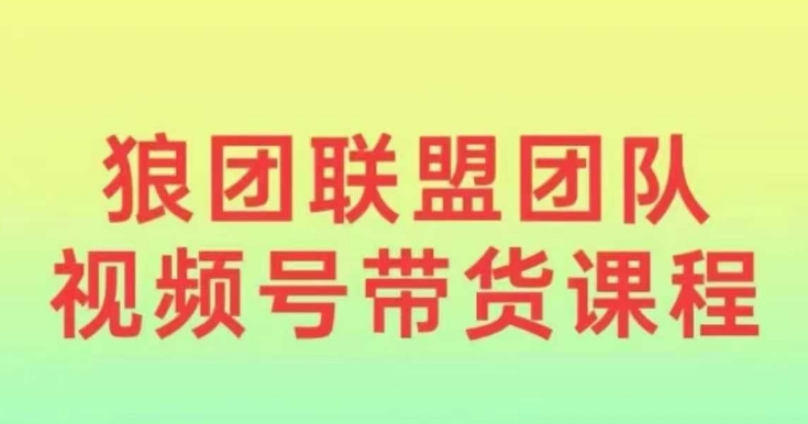 狼团联盟2024视频号带货，0基础小白快速入局视频号-搞钱日记