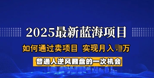 2025蓝海项目，普通人如何通过卖项目，实现月入过W，全过程【揭秘】-搞钱日记