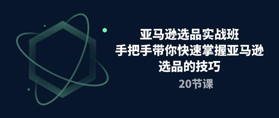 亚马逊选品实战班，手把手带你快速掌握亚马逊选品的技巧(20节课-搞钱日记