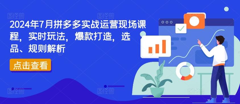 2024年7月拼多多实战运营现场课程，实时玩法，爆款打造，选品、规则解析-搞钱日记