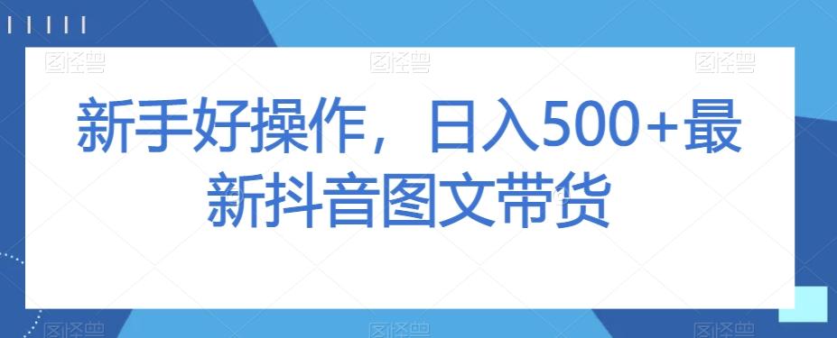 新手好操作，日入500+最新抖音图文带货【揭秘】-搞钱日记