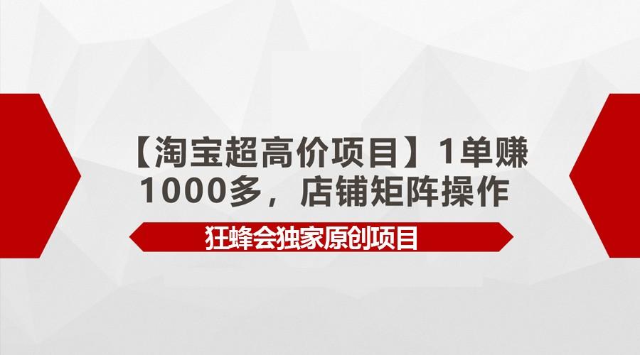 【淘宝超高价项目】1单赚1000多，店铺矩阵操作-搞钱日记