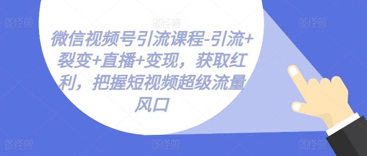微信视频号引流课程-引流+裂变+直播+变现，获取红利，把握短视频超级流量风口-搞钱日记