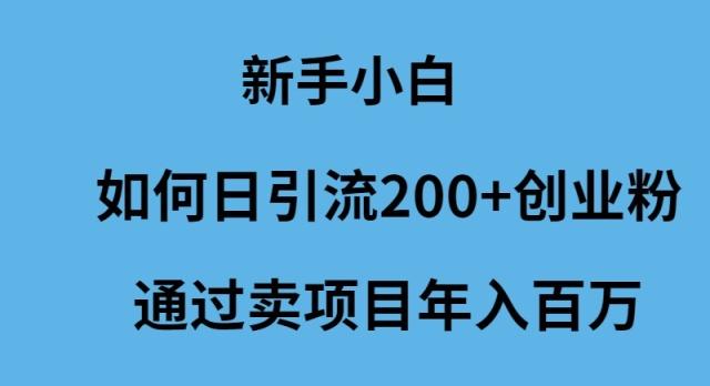 (9668期)新手小白如何日引流200+创业粉通过卖项目年入百万-搞钱日记