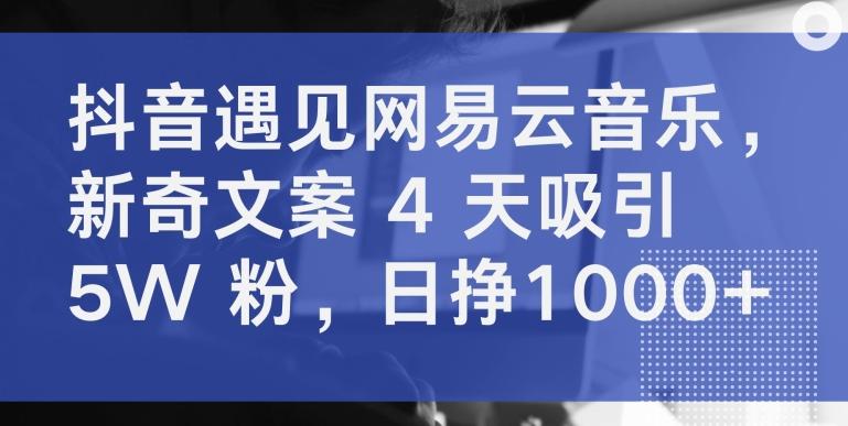抖音遇见网易云音乐，新奇文案 4 天吸引 5W 粉，日挣1000+【揭秘】-搞钱日记