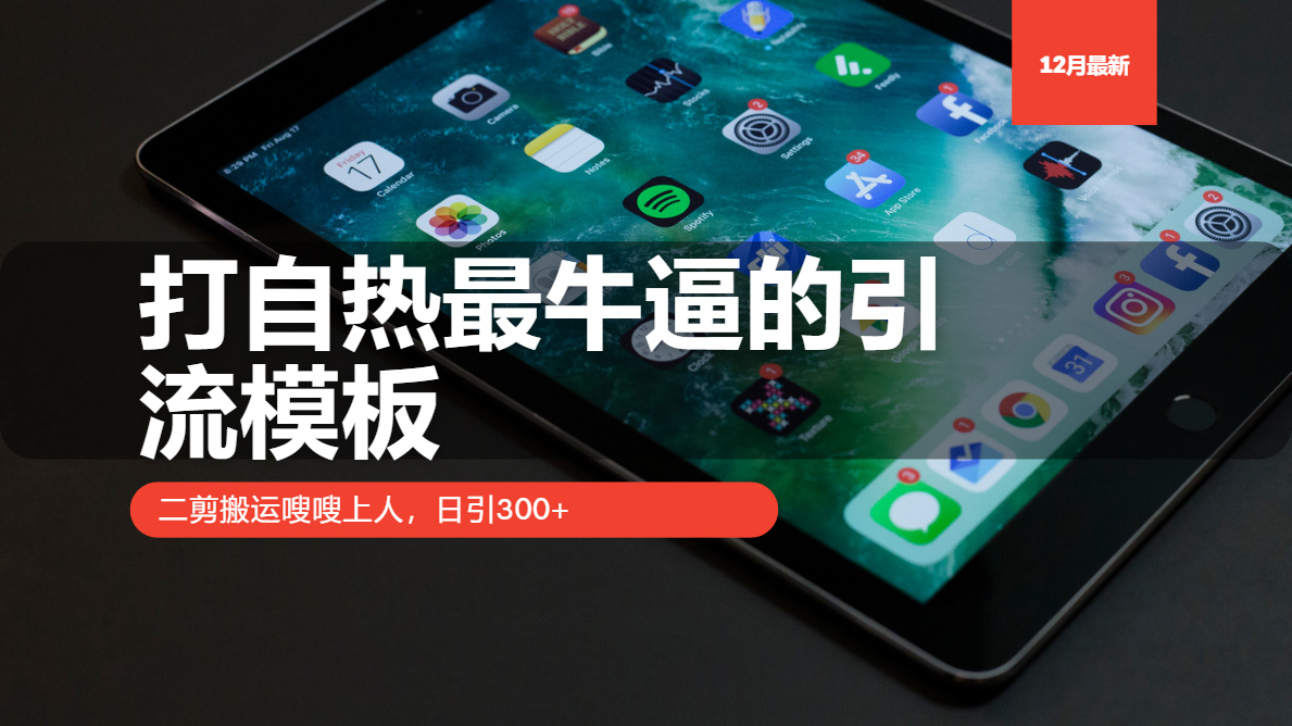 打自热最牛逼的引流模板，二剪搬运嗖嗖上人，日引300+-搞钱日记