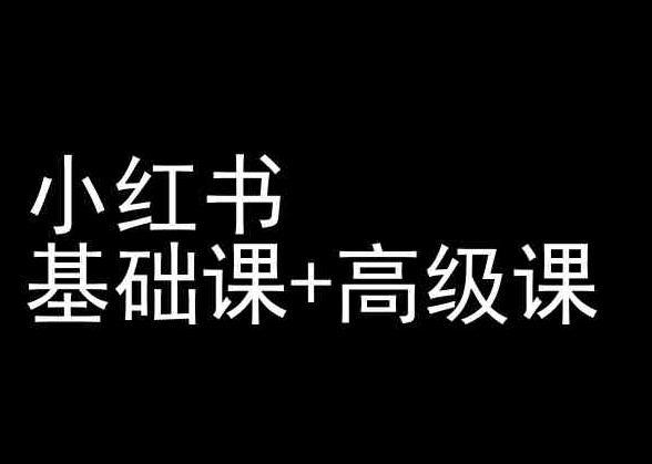 小红书基础课+高级课-小红书运营教程-搞钱日记