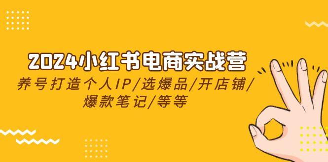 2024小红书电商实战营，养号打造IP/选爆品/开店铺/爆款笔记/等等(24节)-搞钱日记