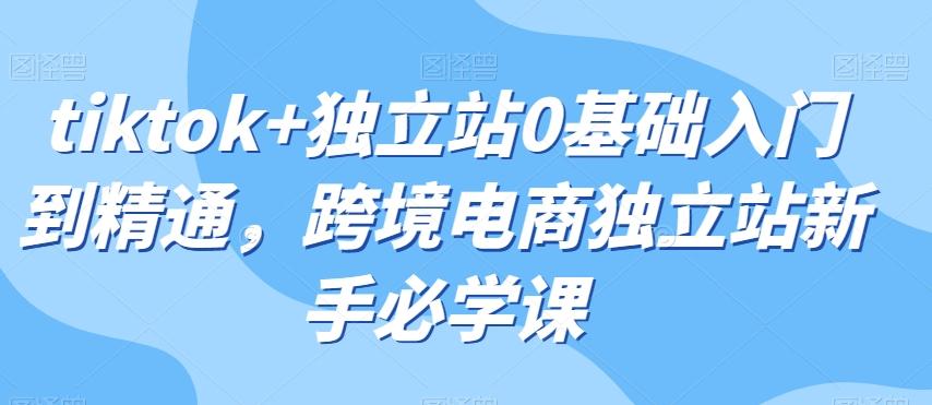 tiktok+独立站0基础入门到精通，跨境电商独立站新手必学课-搞钱日记
