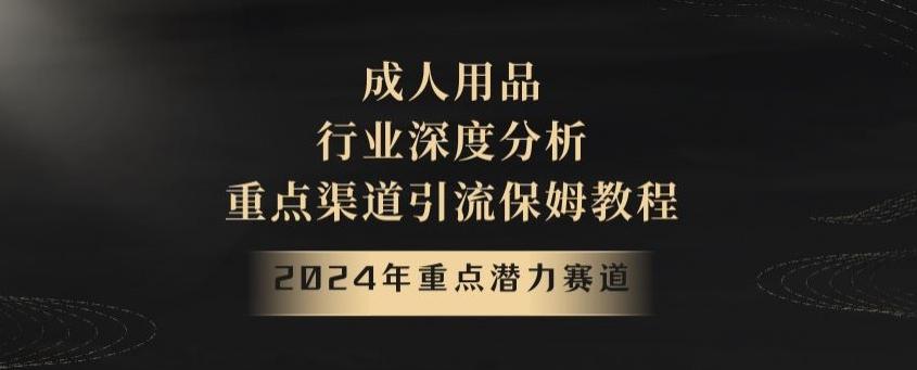 2024年重点潜力赛道，成人用品行业深度分析，重点渠道引流保姆教程【揭秘】-搞钱日记