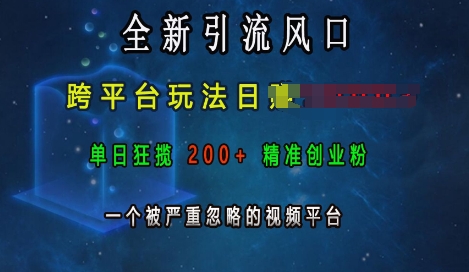 全新引流风口，跨平台玩法日入上k，单日狂揽200+精准创业粉，一个被严重忽略的视频平台-搞钱日记