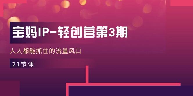 宝妈IP-轻创营第3期，人人都能抓住的流量风口(21节课-搞钱日记
