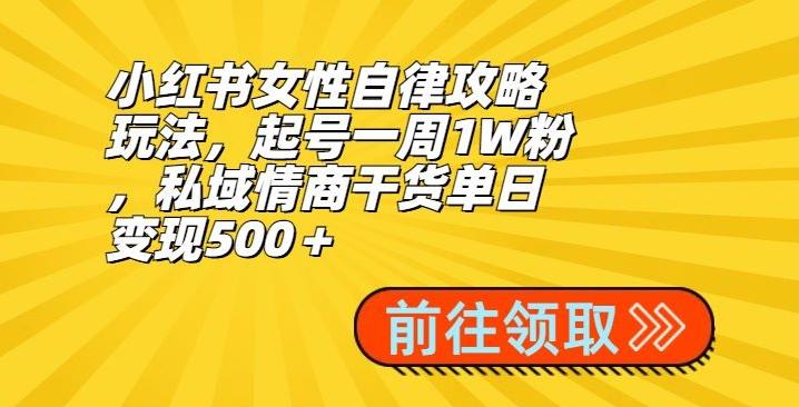 小红书女性自律攻略玩法，起号一周1W粉，私域情商干货单日变现500＋-搞钱日记