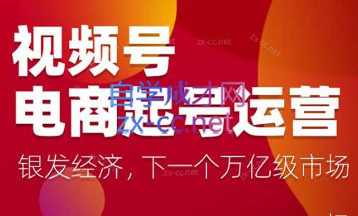 陈大黑牛·视频号电商起号运营课(更新到24年5月)-搞钱日记