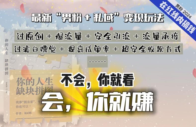 2024，“男粉+私域”还是最耐造、最赚、最轻松、最愉快的变现方式【揭秘】-搞钱日记