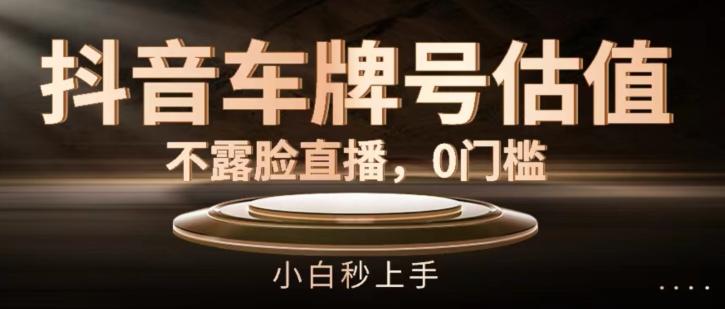 抖音车牌号估值，不露脸直播，0门槛，小白秒上手【揭秘】-搞钱日记