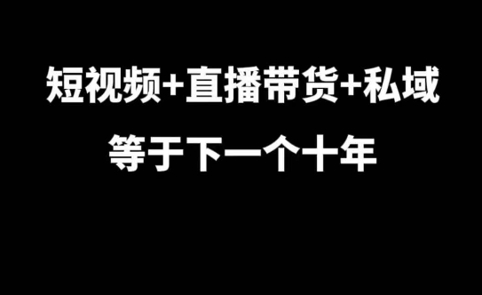 短视频+直播带货+私域等于下一个十年，大佬7年实战经验总结-搞钱日记