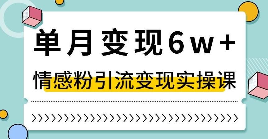 单月变现6W+，抖音情感粉引流变现实操课，小白可做，轻松上手，独家赛道【揭秘】-搞钱日记