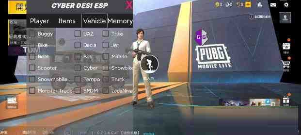 PUBG轻量老外裸奔绘制+自瞄 支持ROOT和框架 里面有全局离线-搞钱日记