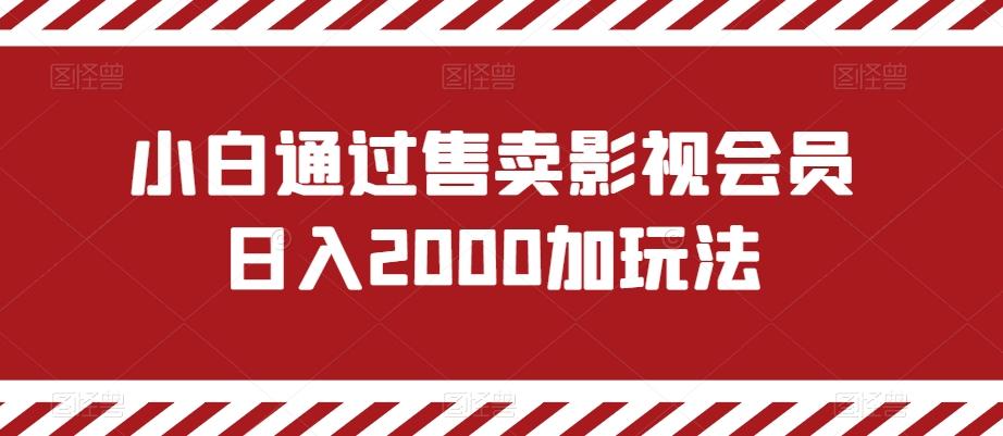 小白通过售卖影视会员日入2000加玩法-搞钱日记