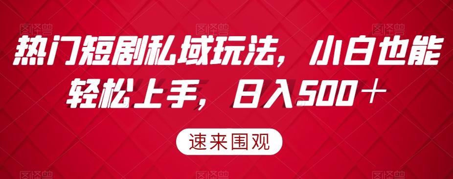 热门短剧私域玩法，小白也能轻松上手，日入500＋-搞钱日记