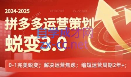 大力老师·2024拼多多运营策略蜕变3.0-搞钱日记