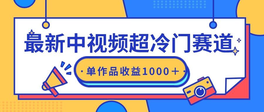 (9275期)最新中视频超冷门赛道，轻松过原创，单条视频收益1000＋-搞钱日记